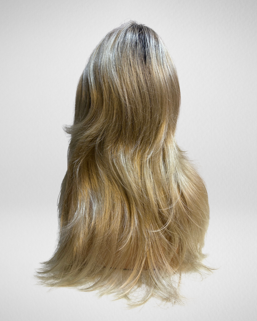 T. Champagne / Rooted