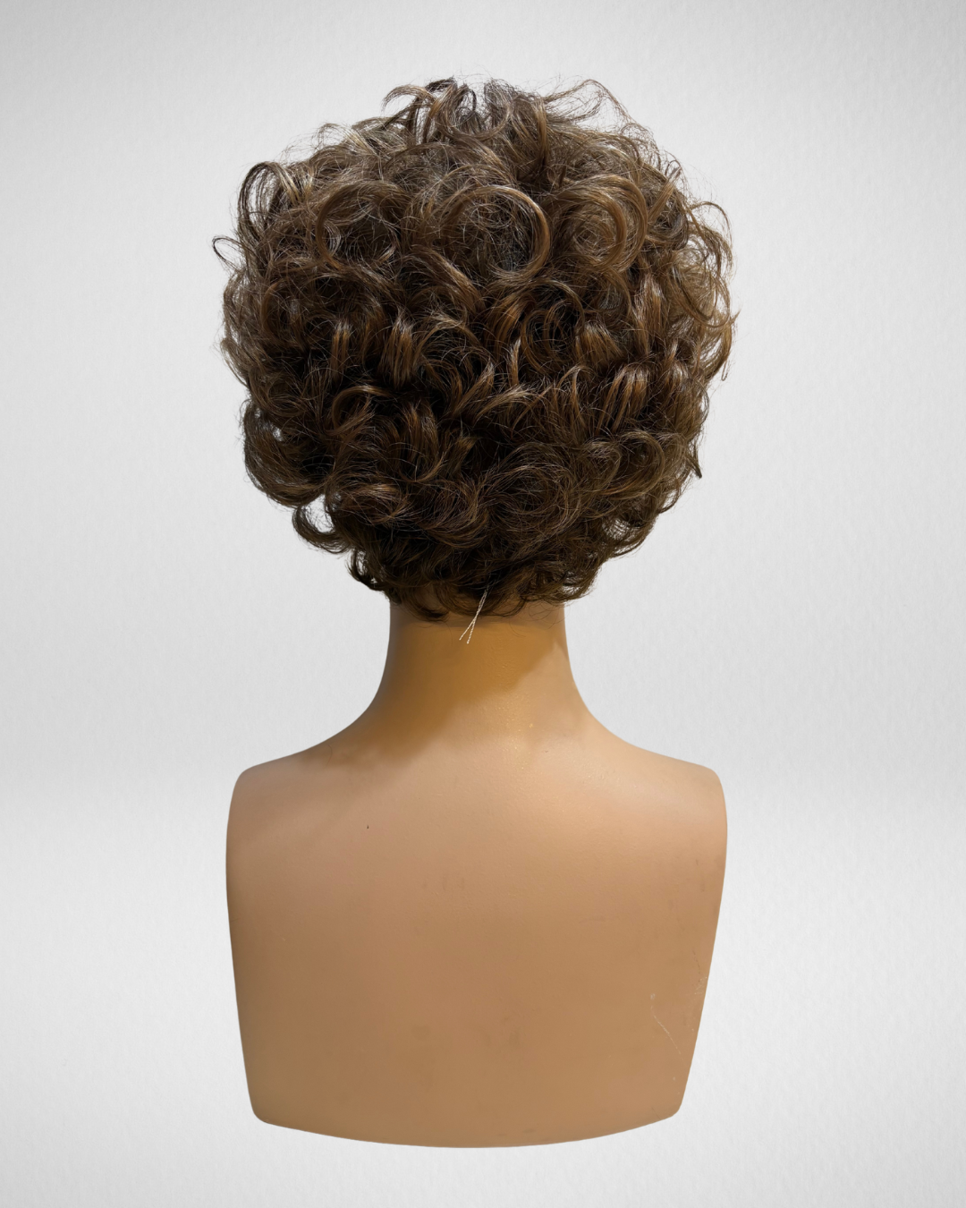Cel Lace Bernstein Root